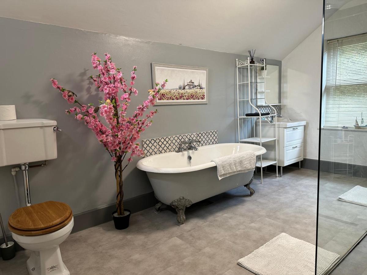 South Kilworth The Hollies B&B 외부 사진